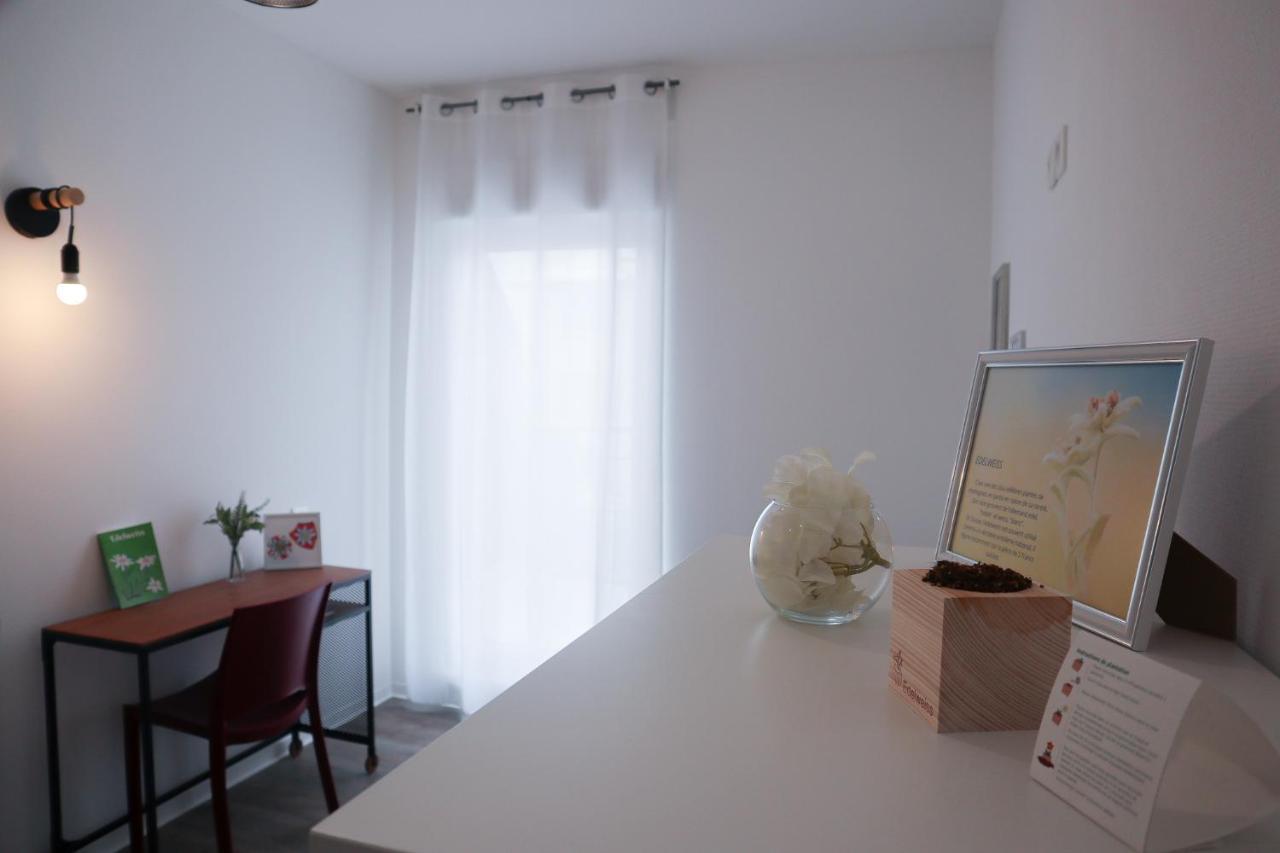 Le Paradis Fiscal, 5Min Bale, Parking Prive 생루이 외부 사진